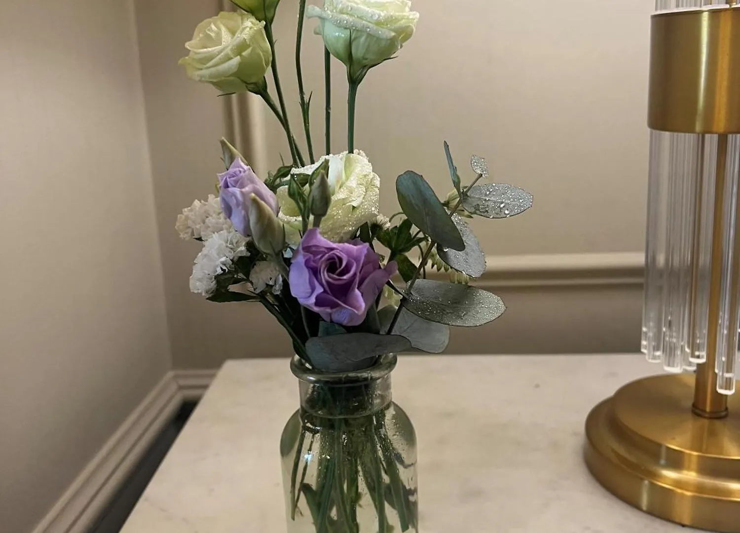 Waterloo Town House & Suites Dublin Hotell